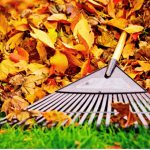 Fall Readiness Maintenance Landscaping and Safety Tips