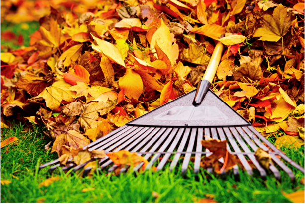 Fall Readiness Maintenance Landscaping and Safety Tips